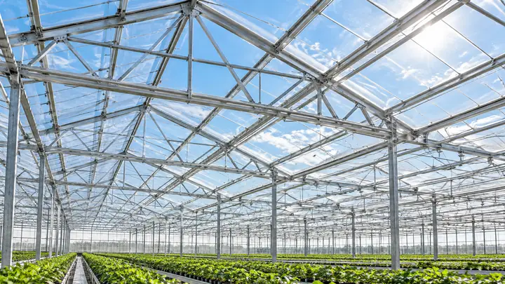 Greenhouse Frames: Aluminum vs Galvanized Steel vs Wood Compared