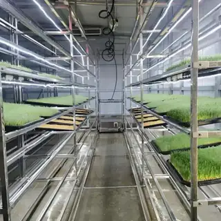 Container hydroponic forage cultivation unit