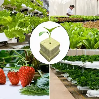 Square sponge nursery cubes for hydroponic seedlings