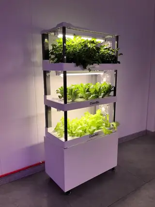 Vertical household hydroponic cabinet with pump