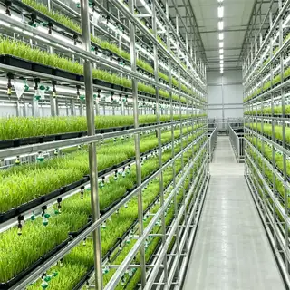 Hydroponic container for fodder, sprouts and mushrooms