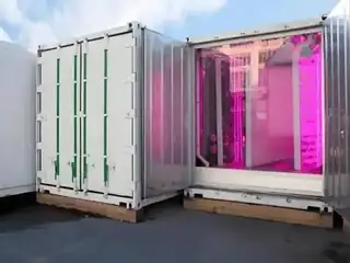High-density indoor plant factory with leafy greens