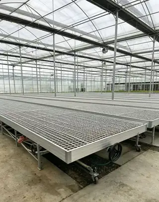 ABS tidal tray seedbed in a nursery