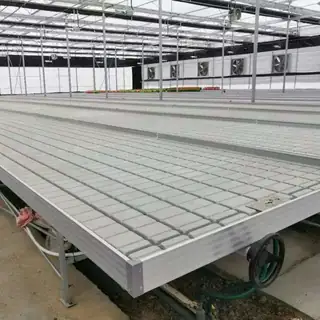 Tidal hydroponic seedbed with flower seedlings