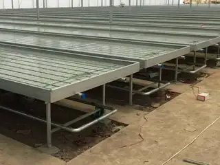 Movable tidal seedling bench in a greenhouse