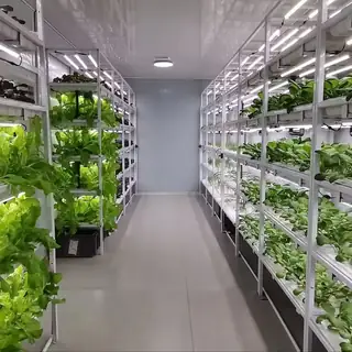 Vertical hydroponic forage container with PLC control