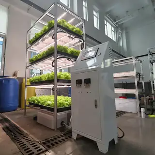 Vertical hydroponic aeroponic home vegetable grower